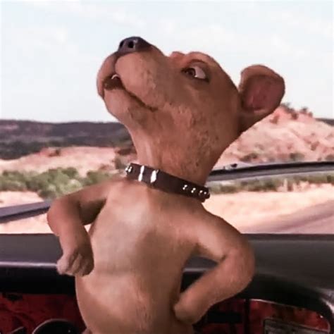 See a recent post on tumblr from @scoobydoomistakes about scrappy. Scrappy Doo The Beats - YouTube