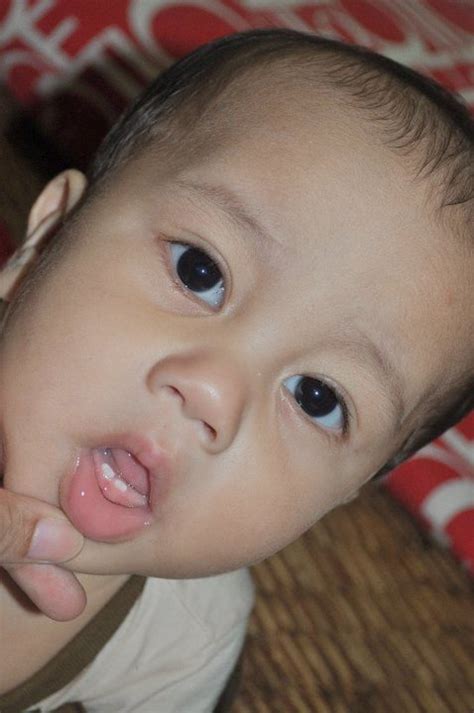 Teether untuk merangsang tumbuh gigi stimulan untuk tumbuh gigi bayi gigi balita jarang gigi bayi miring? TOT: Tanda -tanda Bayi Tumbuh Gigi