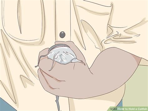 If so, please share it with other anglers who are starting their catfishing journey. 3 Ways to Hold a Catfish - wikiHow