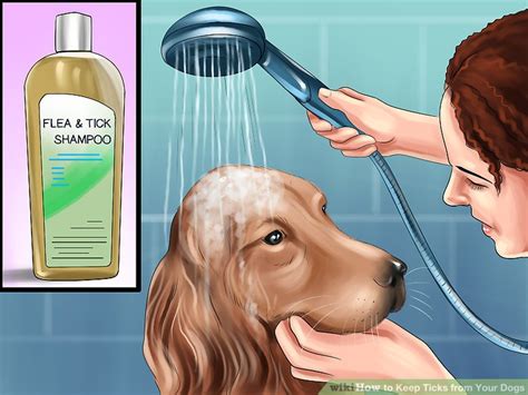 Try not to drool, shop all our monthly deals at once. 4 Ways to Keep Ticks from Your Dogs - wikiHow