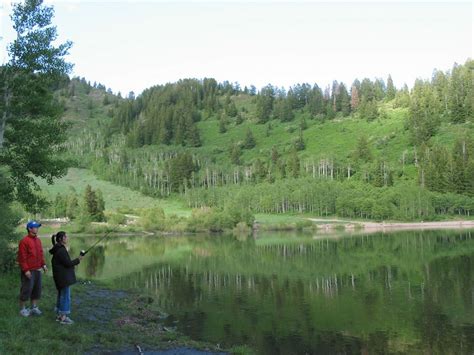 Whisk together mayonnaise, vinegar, sugar, salt, and pepper; The Wonderful World: High Uinta Mountain Lake