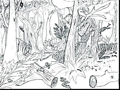 Coloring pages for kids free printable colorings pages to print. Printable Rainforest Coloring Pages at GetColorings.com ...