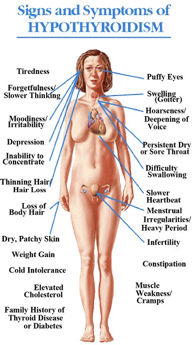 A neck lump or nodule is the most common symptom of thyroid cancer. Top 3 Natural Remedies For Thyroid Disorders | Salud ...