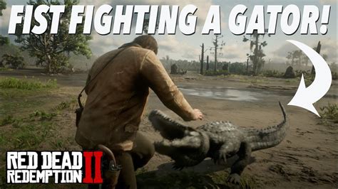 Check spelling or type a new query. FIST FIGHTING A GATOR! Possible? (RDR2) - YouTube