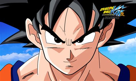 That's how this tournament happened, too. Goku Dragon Ball Kai by SaoDVD on DeviantArt