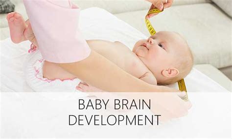 A doula can earn between $300 and $700 dollars. How long does it take for a baby's brain to develop ...
