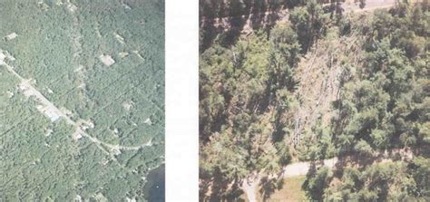 Downburst damage will radiate from a central point as the descending column spreads out when hitting the surface, whereas tornado damage tends towards convergent damage consistent with. July 4, 1977 Downbursts