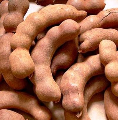 See more ideas about tamarind, tamarind recipes, food. Tamarind, Fruit of the Future | My Cooking Without Borders