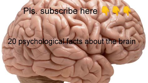 Amazing facts of human brain (biological computer). 20 psychological facts about brain - YouTube