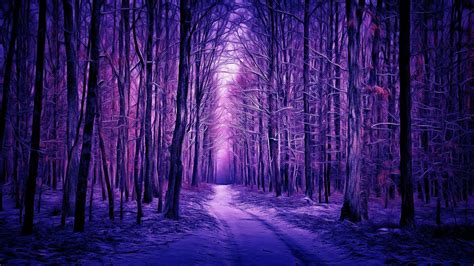Winter's Purple Forest