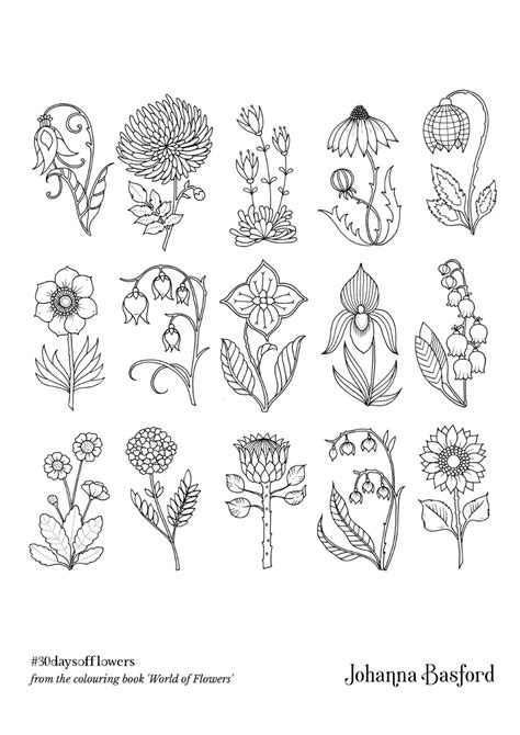 Beautiful flower designs for stress relief, relaxation, and… by deena stone paperback cdn$7.99. johanna basford flowers to colour in - Google Search ...