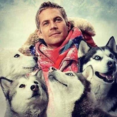 List of the best paul walker movies, ranked best to worst with movie trailers when available. Paul Walker...Eight Below... I cried too much with this ...