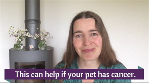 Thinking she might have an allergy or an invisible strain of fleas, i took her to the vet. This can help if you dog or cat has a cancer diagnosis ...