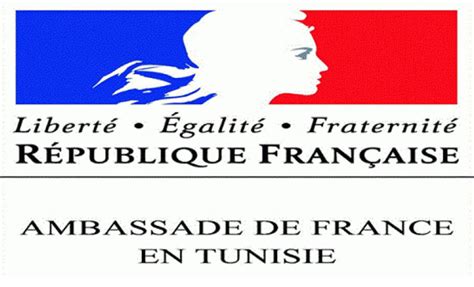 Embassypages.com est le répertoire le plus complet et le plus détaillé de tous les consulats, ambassades et autres. Ambassade de France : Conditions d'entrée sur le ...