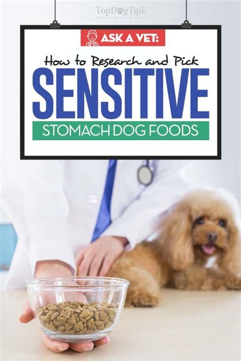 Several years ago, lynette ackman of chicago began making food at home for her five rescue cats. Vet's Guide on Sensitive Stomach Dog Food Recipes | Dog ...