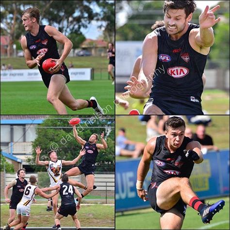 After the recital, the smile on mia's face that carried on from the days of her practice finally broke as she saw the expressions that formed on the judges the expectations that everyone pinned on her faded into the darkness of the concert hall, as no matter how hard she practiced, the damage left on. Following Saturday's VFL practice game against the Hawks ...
