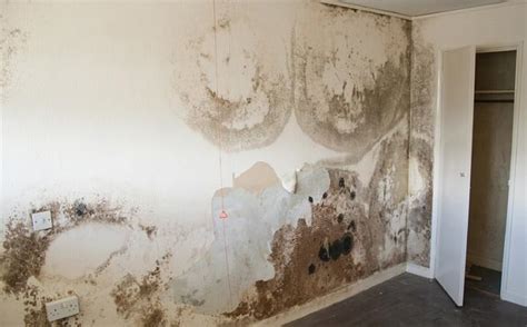 The spanish answer to our damp problems was to take down all internal walls. Damp Proofing Costs 2020