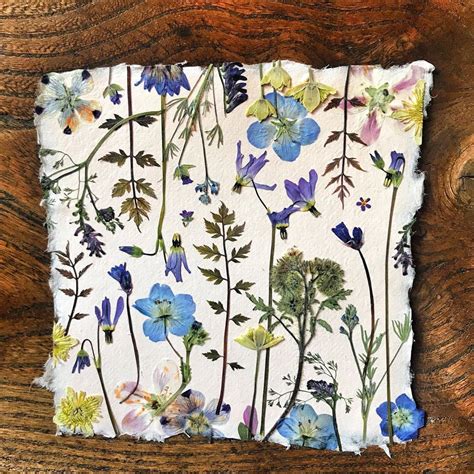 A floral fantasy in an old english garden : Pin on Botanical Collages