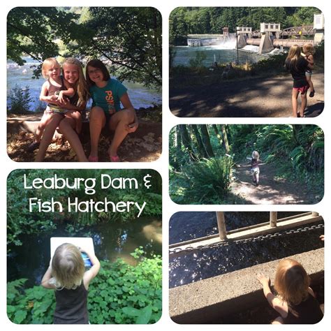The Cozy Corner: Leaburg Dam and Fish Hatchery