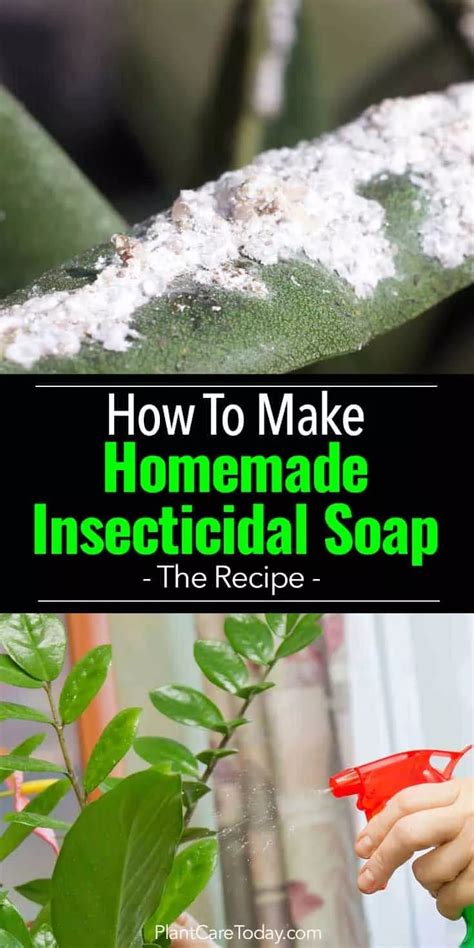 Plant based, natural, handmade goods. Homemade Insecticidal Soap: How To Make DIY Recipe in 2020 ...