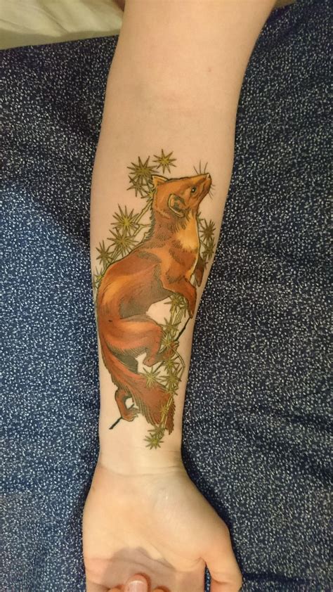 14 / 08 / 2018 anton yarovoy. Pine Marten by Emma Davidson of WA Ink in Perth Australia ...