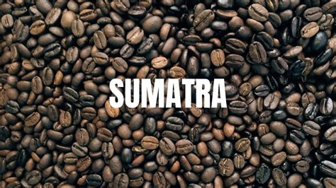 25 percent off whole bean coffees, free shipping in nyc for any size order, and free shipping outside of nyc for. Sumatra - Kool Beans
