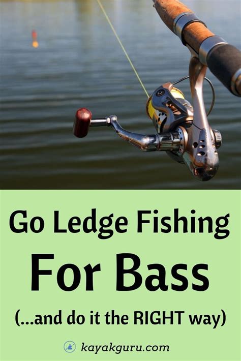 If so, you should know that topwater frogs are some of the best fishing lures for bass you can use around lily pads. Go Ledge Fishing For Bass | Bass fishing, Bass fishing ...