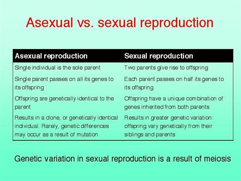 Some plants and unicellular organisms reproduce asexually. Compare And Contrast Asexual And Sexual Reproduction ...