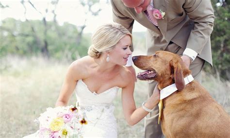Some owners choose not to treat dogs that. Woman ties nuptial knot knot with dog, after ending her ...