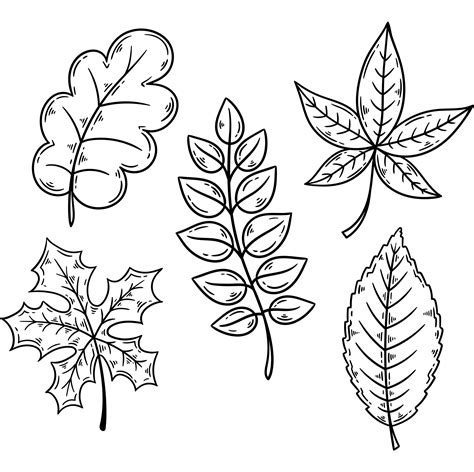 5 Best Fall Leaves Printables - printablee.com