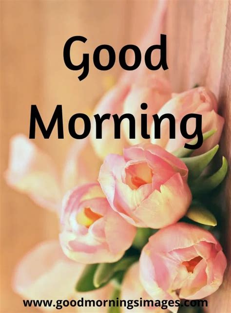Motivational quotes good morning images with quotes for whatsapp free download. Good Morning Images with quotes for whatsapp Free Download