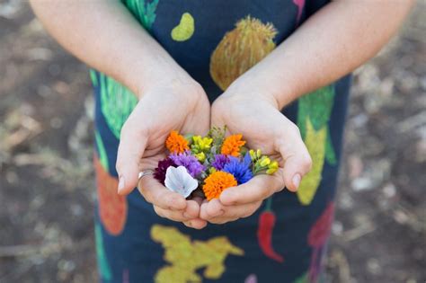 Maybe you would like to learn more about one of these? H.Walker_Grown&GatheredMarch-57 | Edible flowers, Growing ...