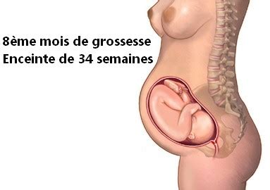 Over 100,000 english translations of french words and phrases. 8ème mois de grossesse