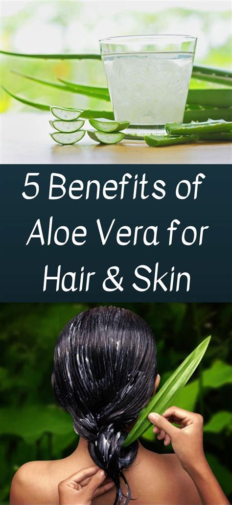 When you replant it though, try to replant it at an angle so it will stand up straight. 5 Benefits of Aloe Vera for Hair, Skin and Body | Aloe ...