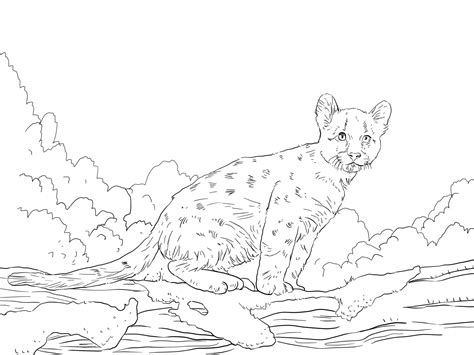 We have this nice puma logo coloring page for you. Puma coloring pages to download and print for free