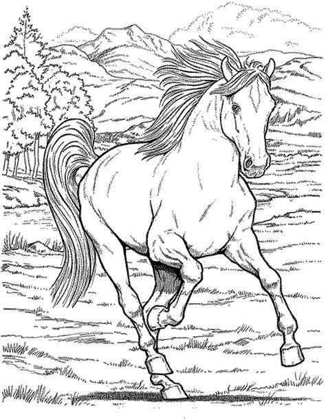 Horses (7 coloring pages) coloring page #647. Realistic Horse Coloring Pages at GetColorings.com | Free ...