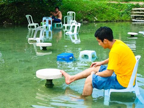 Results of the 2013 malaysian general election by parliamentary constituency#selangor. 19 Relaxing Hot Springs to Visit for Your Short Getaway in ...