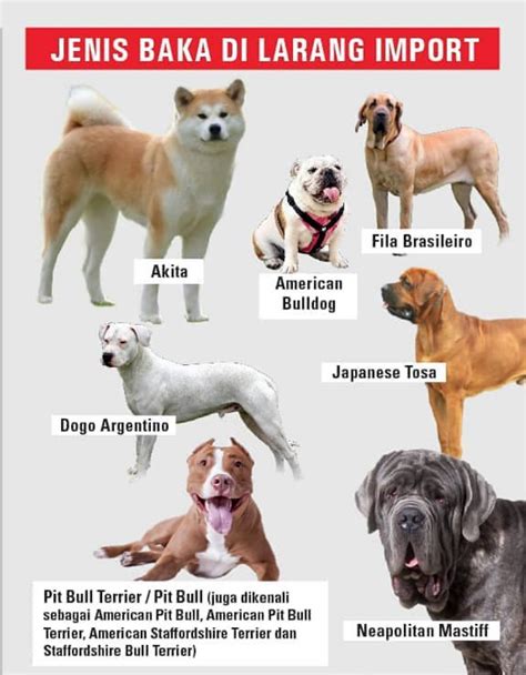 Not restricted to a particular subject; Dog Lovers, These Are the Dog Breeds That Banned or ...