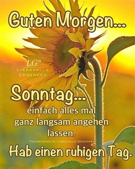 Wir alle lieben imposante zitate. Schönen sonntag hund - #Schönen #Sonntag | Guten morgen ...