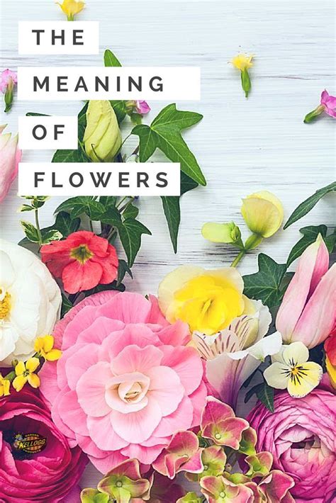 Everything you want to know about types of flowers, flower pictures, rose color meanings. The Meaning of Flowers: What Do They Symbolize? | Flower ...
