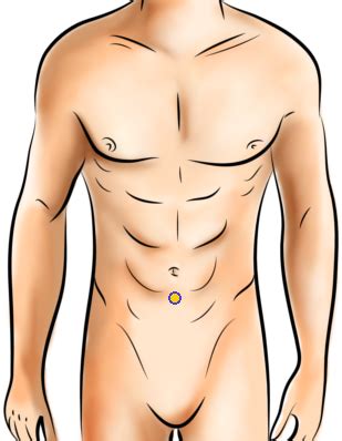 The 3 main body types are ectomorph, mesomorph, and endomorph. Acupressure Points For Diarrhea - Smarter Healing