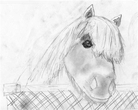 Portret tekenen is vaak geen appeltje eitje. paarden tekeningen | Hannah-tekeningen.jouwweb.nl