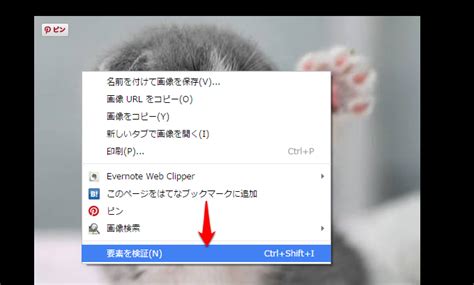 その他アイコン more menu icon をタップすると、モバイル ウェブサイトで 設定 にアクセスしたり、ヘルプを表示したり、フィードバックを送信したりできます。 グーグルフォトの画像をウェブページに表示させる | ちょっと ...