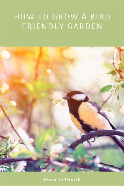 Check spelling or type a new query. Turn Your Garden into a Bird-Friendly Haven (With images ...