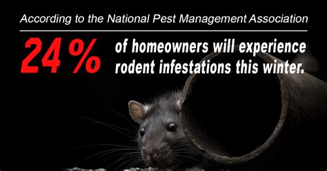 Using integrated pest management solutions, we eliminate infestations, protect your home and prevent unwanted guests from returning. Learn what you can do to prevent rodent infestations this ...