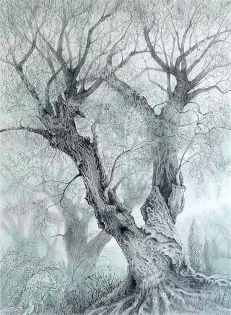 Simply open one up and start adding information. Drawing Trees : Norden Farm Centre for the Arts - Theatre ...