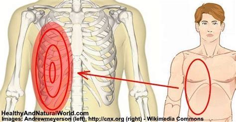 It's the right hand side of your abdomen, just below the level of your ribcage (i.e. Kidney Area Pain Right Side - KIDKADS