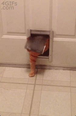 Explore and share the best fat dog gifs and most popular animated gifs here on giphy. Pet Door GIFs - Find & Share on GIPHY