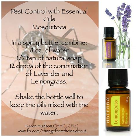 Pests can be controlled or at least reduced to a suitable extent by maintaining good hygiene. Pin on NATURAL PEST CONTROL USING ESSENTIAL OILS