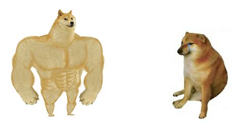 Patrick star internet meme doge pepe the frog, meme, sticker, cartoon png. buff doge vs crying cheems Blank Template - Imgflip